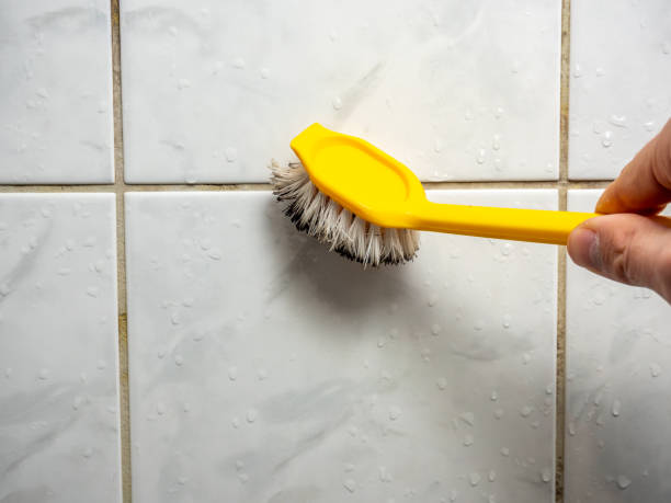 Best Bathroom Mold Remediation in East Bethel, MN