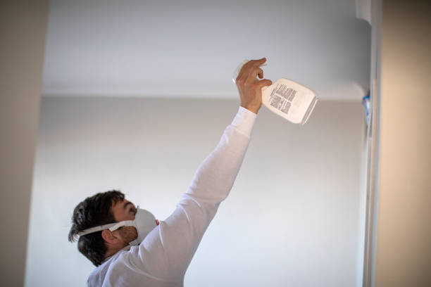 Best Post-Flood Mold Remediation in East Bethel, MN