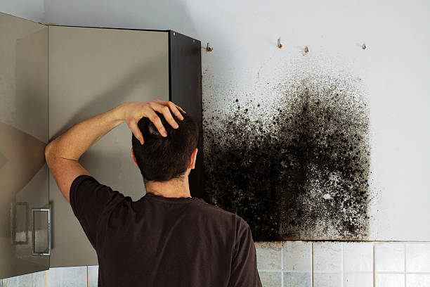 Best Bathroom Mold Remediation in East Bethel, MN